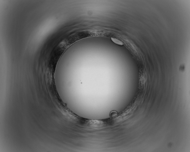 X0000100340429200806121155