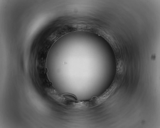 X0000100340430200806121155