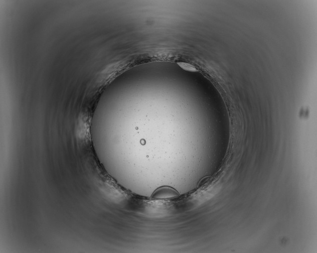 X0000100340432200806121155