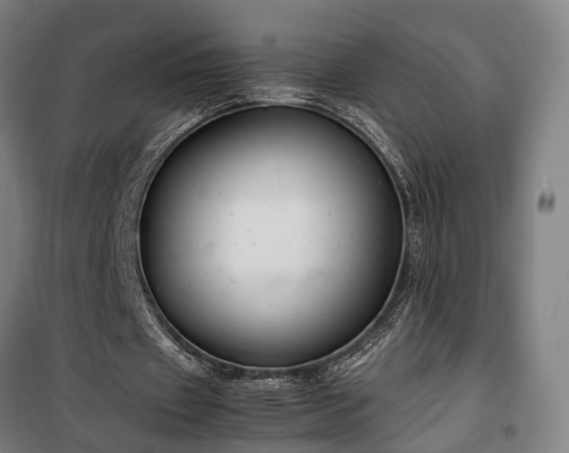 X0000100340433200806121154