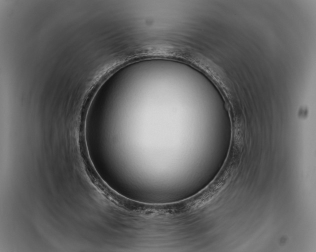 X0000100340434200806121154