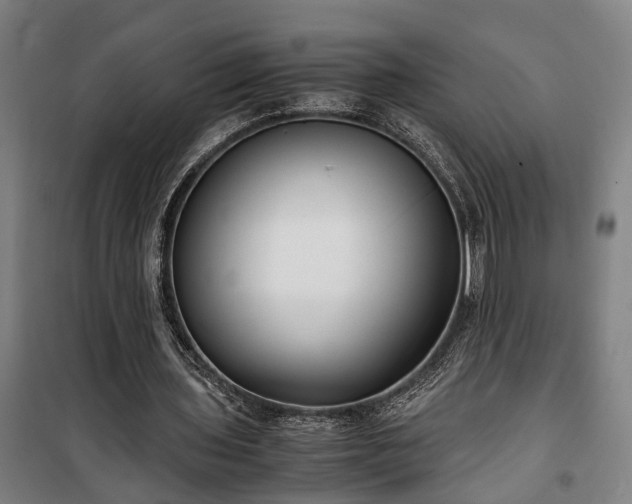 X0000100340435200806121154