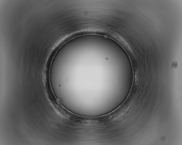 X0000100340436200806121154