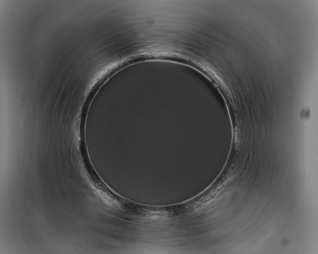 X0000100340438200806121154