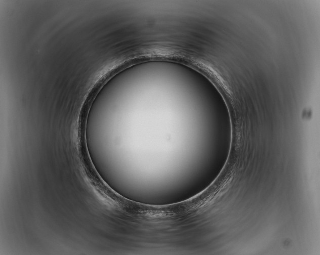 X0000100340439200806121154