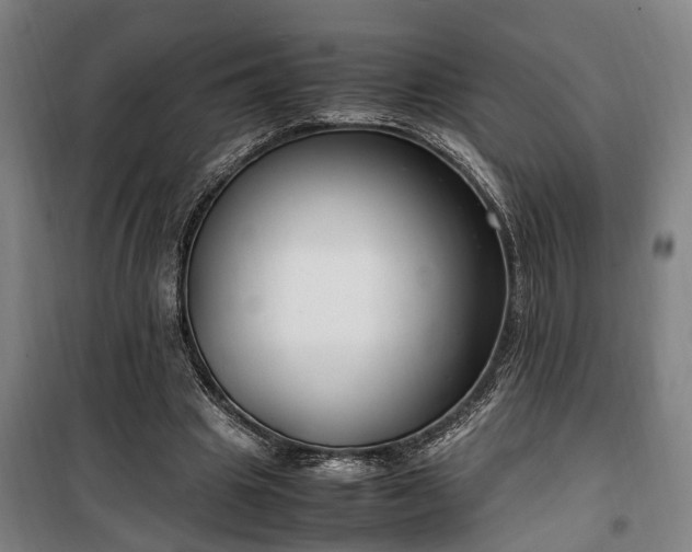 X0000100340441200806121154