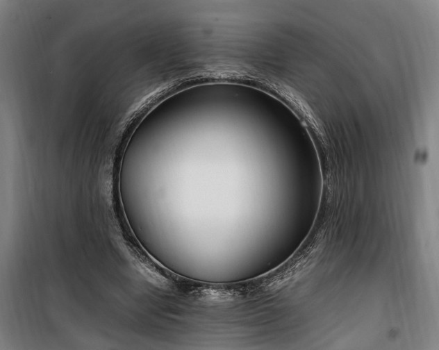 X0000100340442200806121154