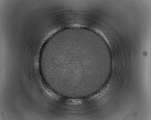 X0000100340443200806121154