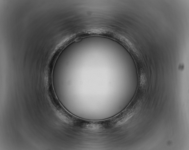 X0000100340444200806121154