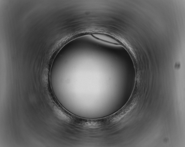 X0000100340445200806121154