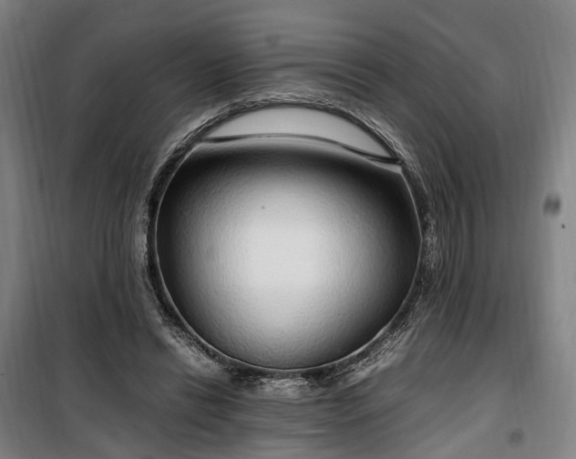 X0000100340446200806121154