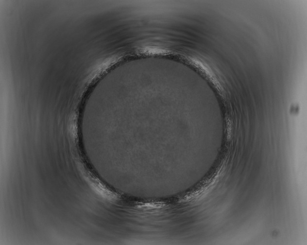 X0000100340447200806121154