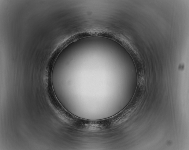 X0000100340448200806121154