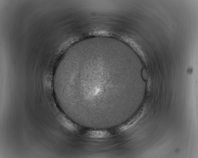 X0000100340449200806121154