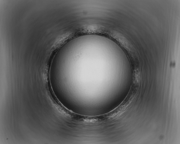 X0000100340450200806121154