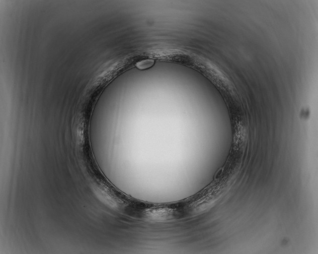 X0000100340452200806121154