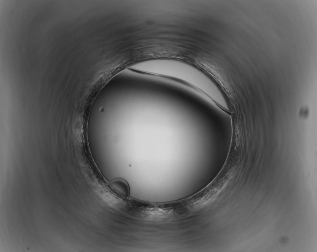 X0000100340453200806121154