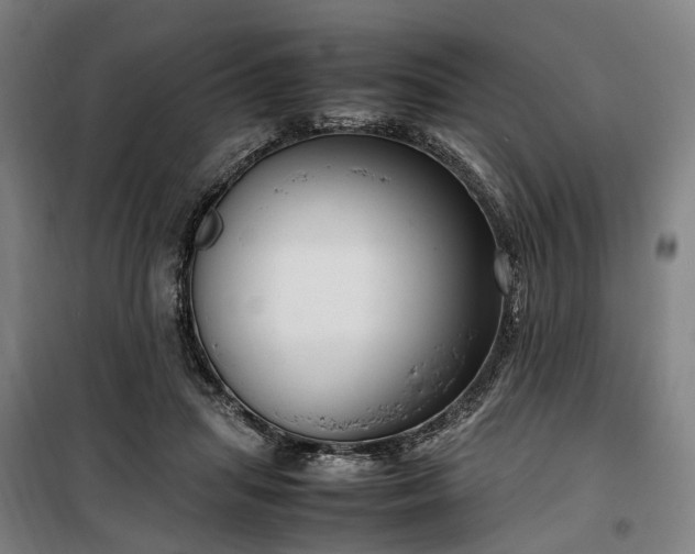 X0000100340455200806121154