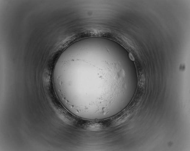 X0000100340456200806121154