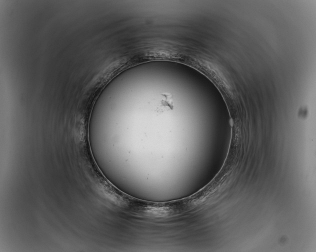 X0000100340457200806121154