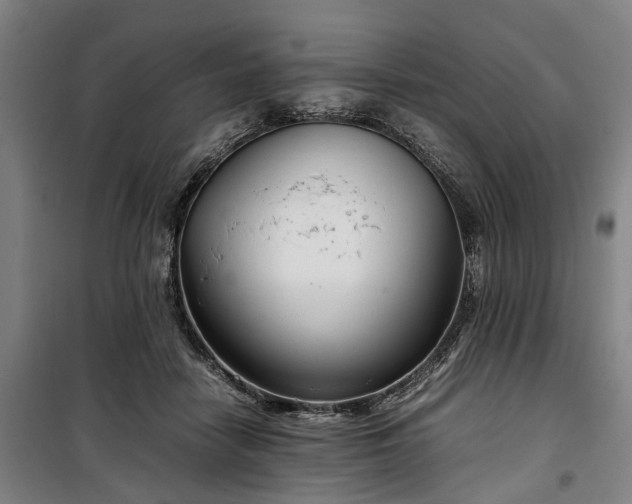 X0000100340458200806121154