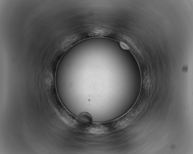 X0000100340459200806121154