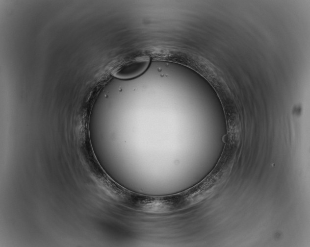 X0000100340460200806121154