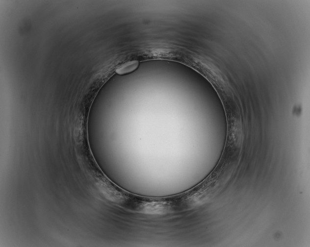 X0000100340461200806121154