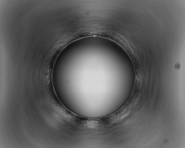 X0000100340462200806121154