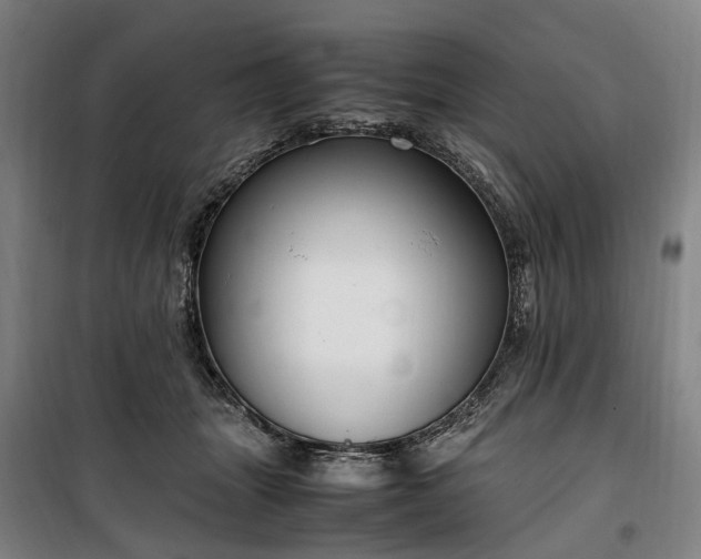 X0000100340463200806121155