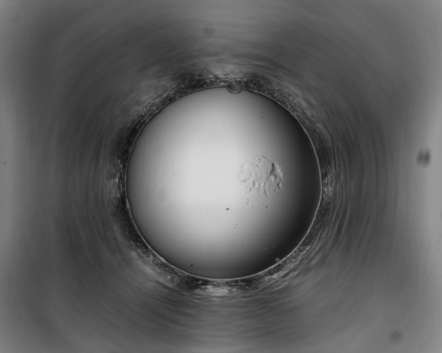 X0000100340464200806121155