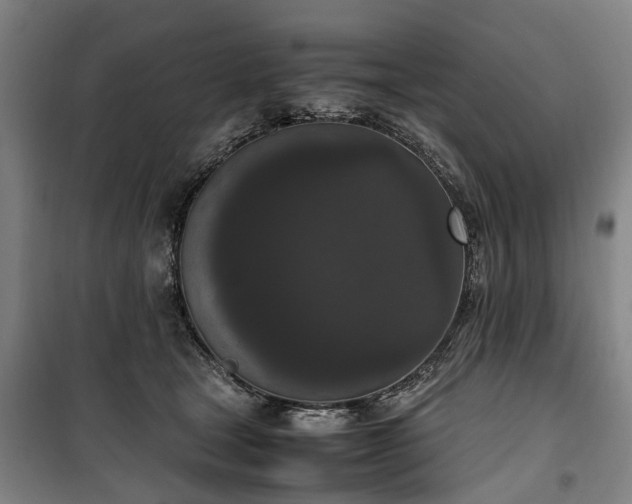 X0000100340465200806121155