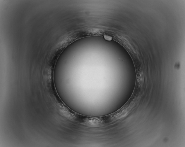 X0000100340466200806121155