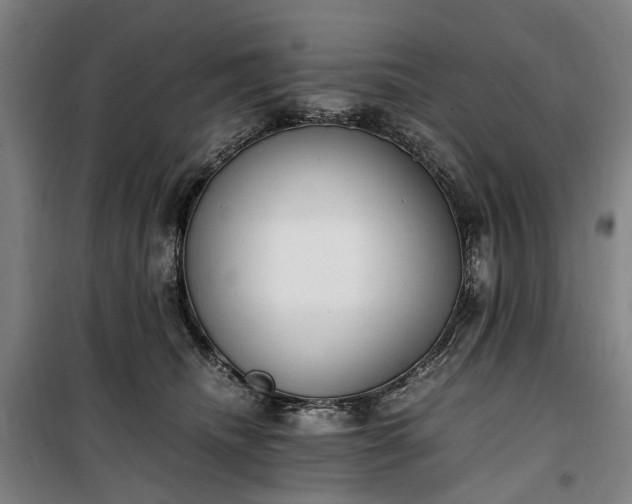 X0000100340468200806121155