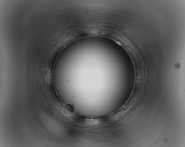 X0000100340469200806121155