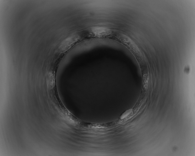 X0000100340471200806121155