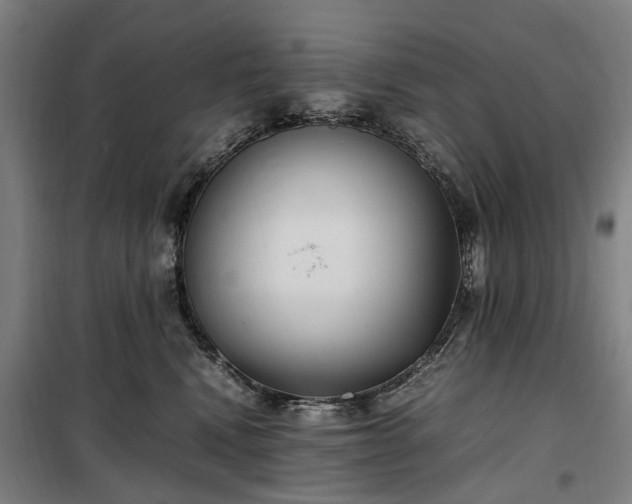 X0000100340472200806121155