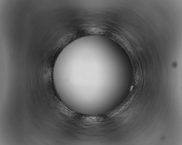 X0000100340473200806121155