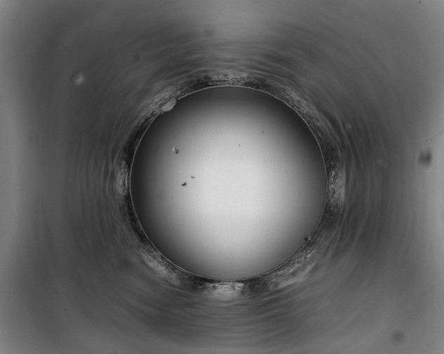 X0000100340474200806121155