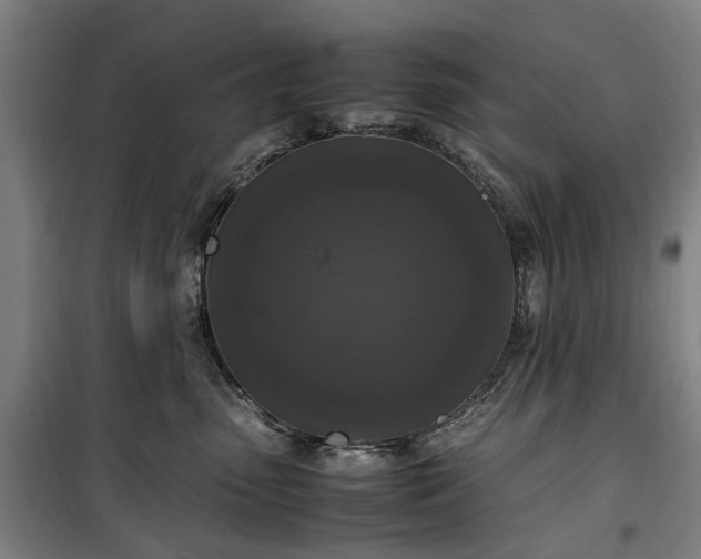 X0000100340475200806121155