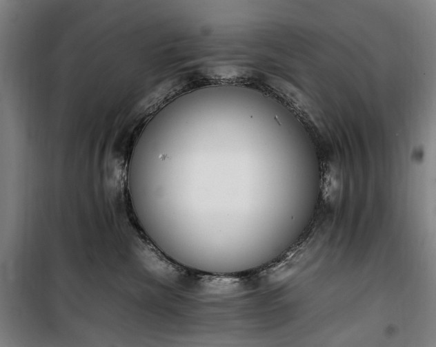 X0000100340476200806121155