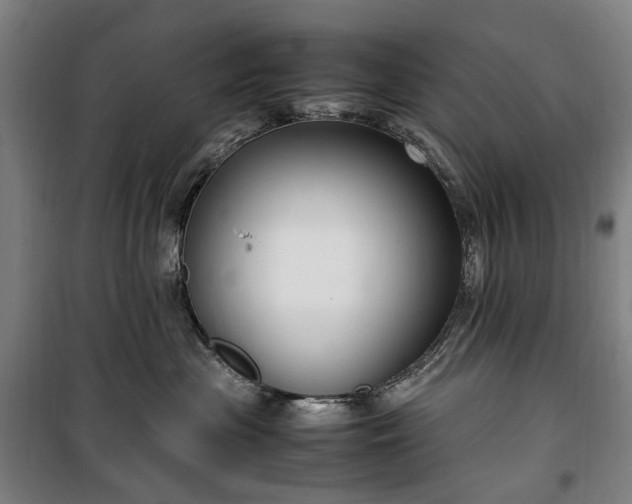 X0000100340477200806121155