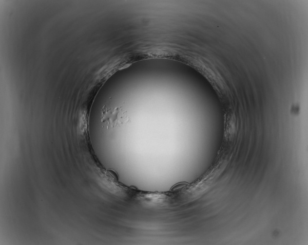 X0000100340478200806121155