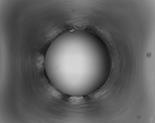 X0000100340480200806121155