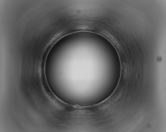 X0000100340482200806121154