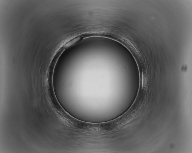 X0000100340483200806121154