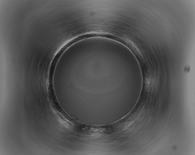 X0000100340484200806121154