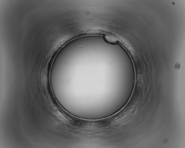 X0000100340485200806121154