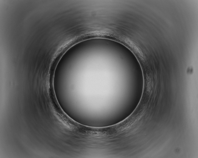 X0000100340486200806121154