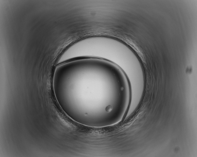 X0000100340489200806121154